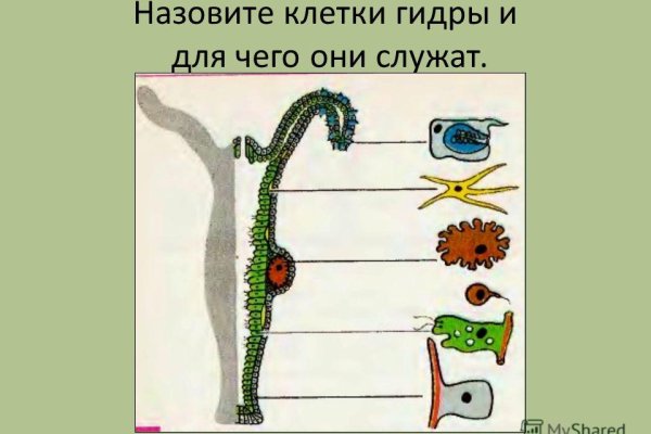 Кракен 12 сайт
