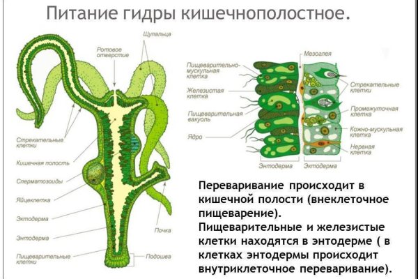 Кракен москва наркотики