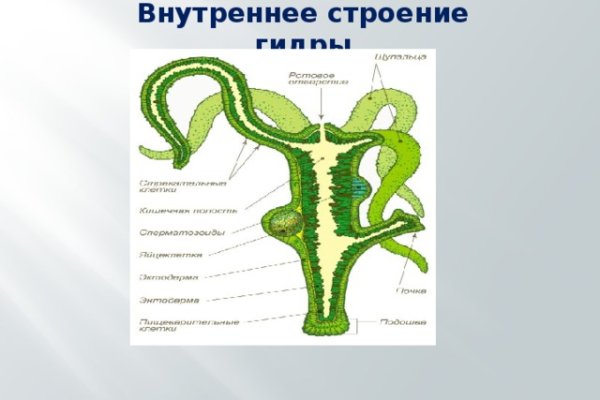 Kraken ссылка kraken torion