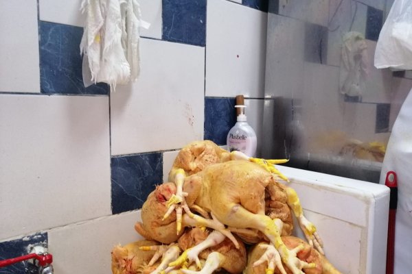 Кракен зеркало на сегодня