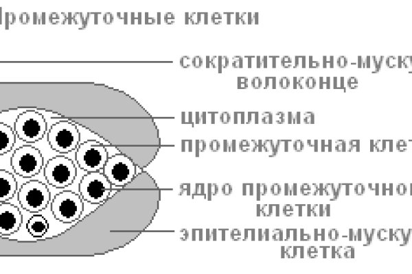 Кракен упал