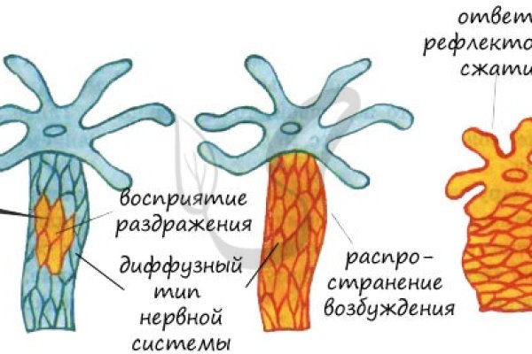 Ссылки на кракен com