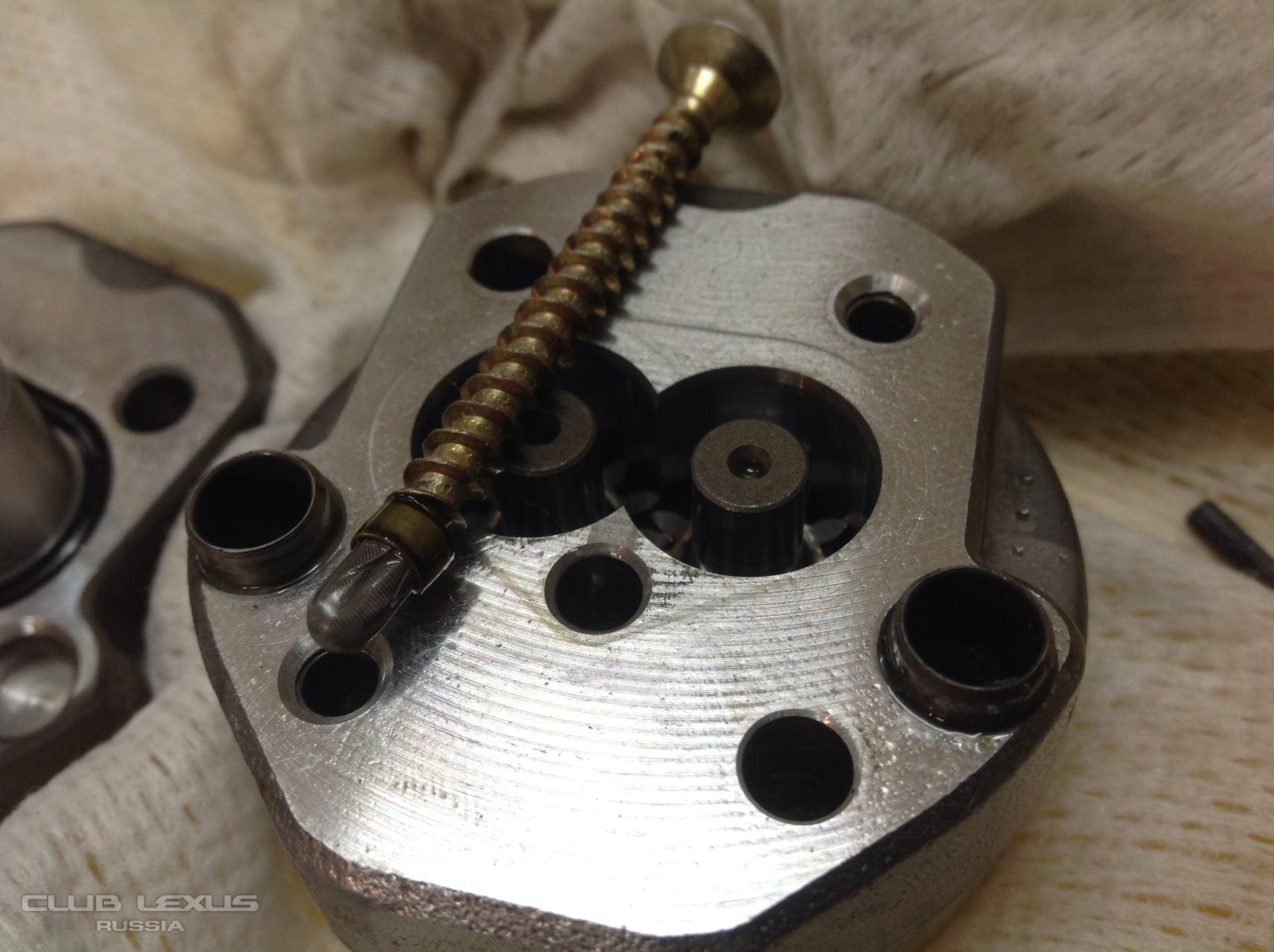 Kraken 25 at